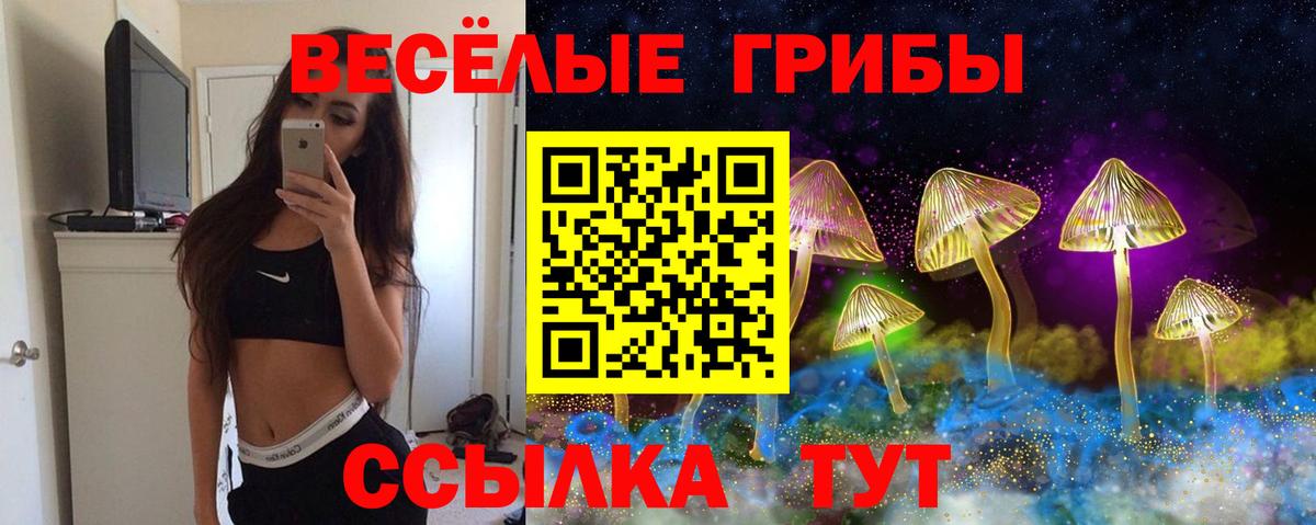 Галлюциногенные грибы Magic Shrooms Тула