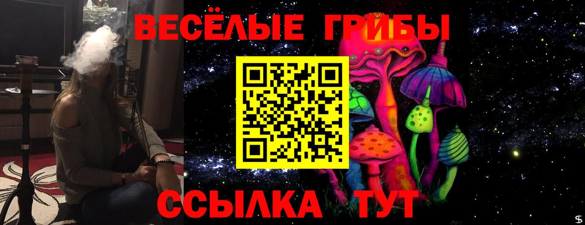 цены   Галлюциногенные грибы MAGIC MUSHROOMS  Вход с VPN  Тула 